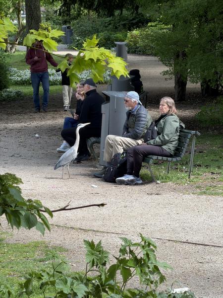 People sitting on a bench in a park with a bird nearby